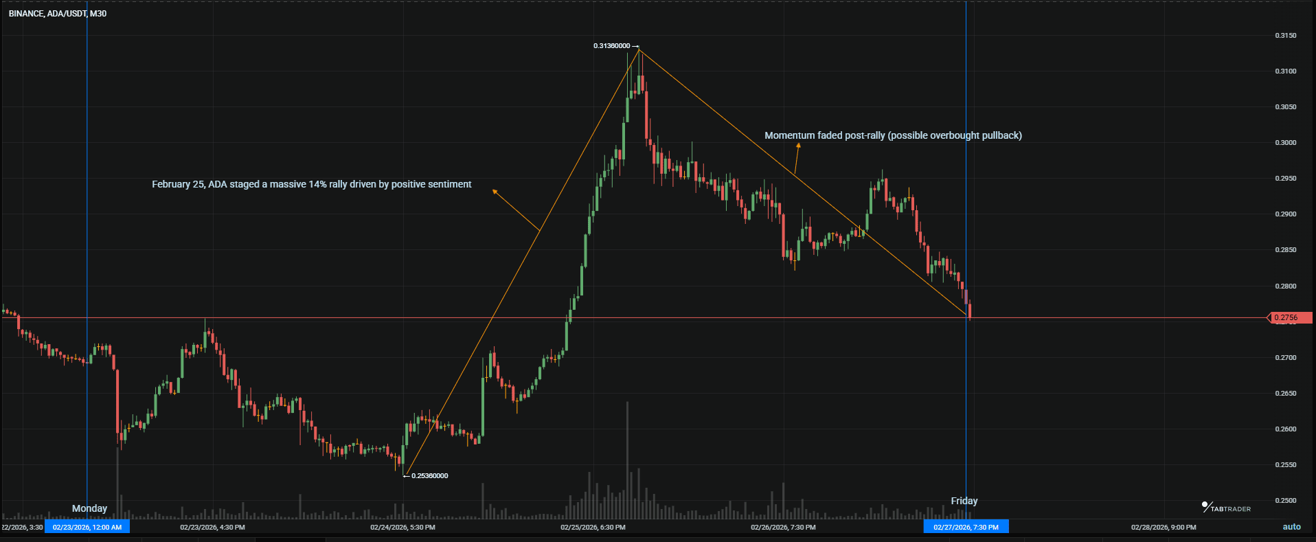 Cardano price rally